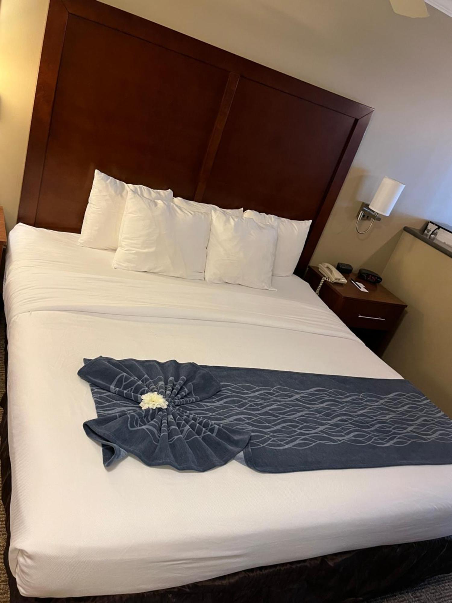 Comfort Inn & Suites Ocean Shores Kültér fotó